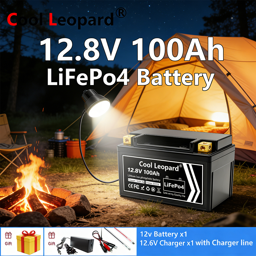 Lightweight 12V 100Ah LiFePO4  - Fish Finder Charger avaliação e preço