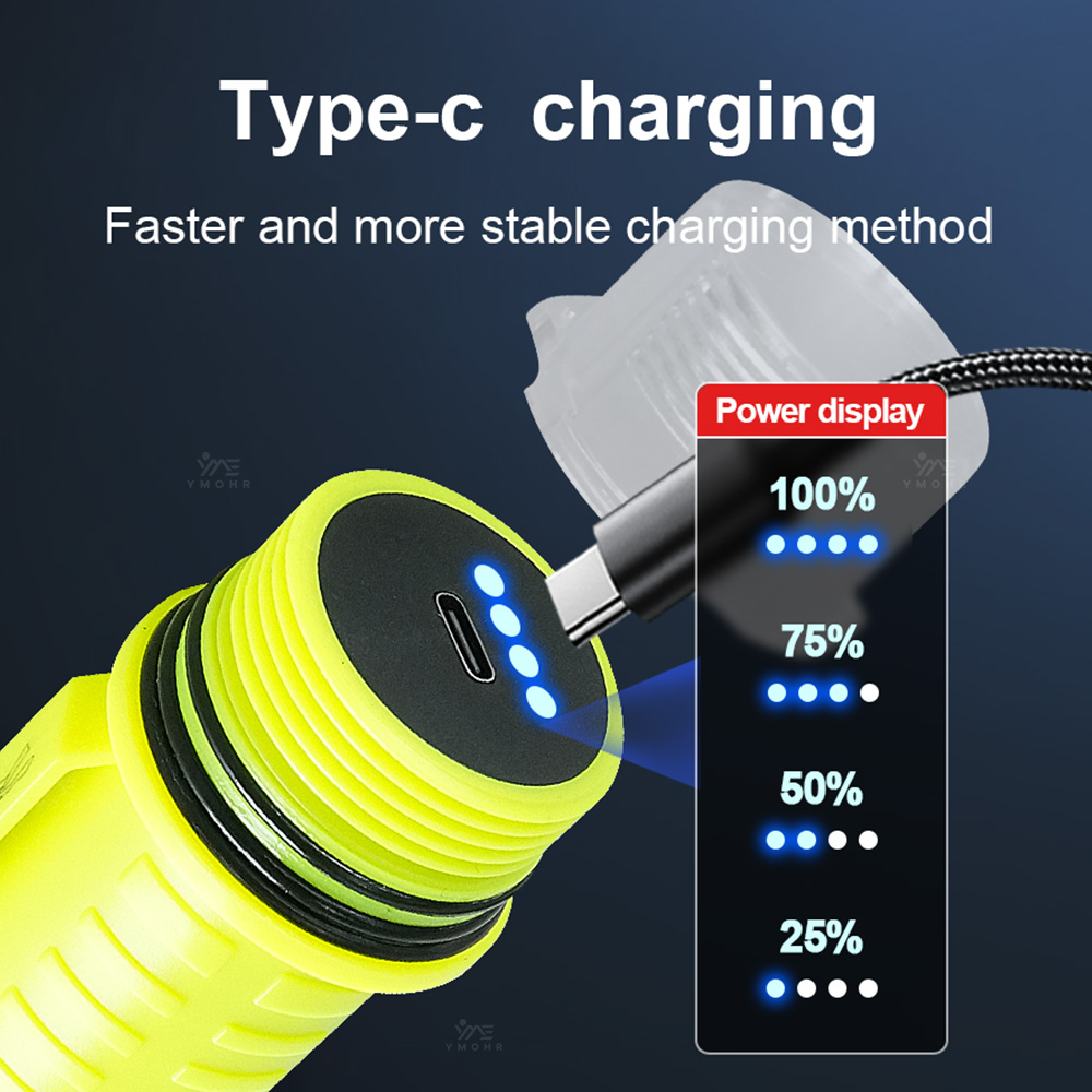 New Portable Professional LED  - Fishing Light avaliação e preço